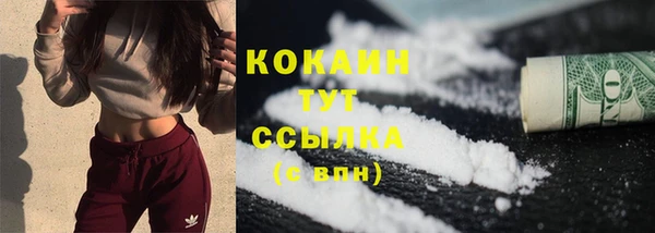 прущие крисы Горняк