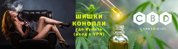 apvp Горно-Алтайск