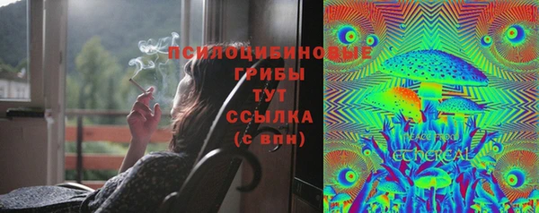 прущие крисы Горняк
